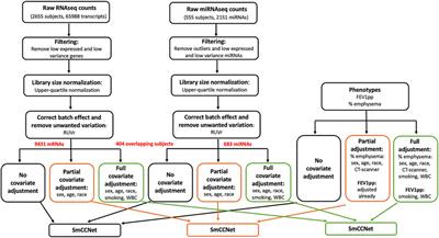 Identifying miRNA-mRNA Networks Associated With COPD Phenotypes